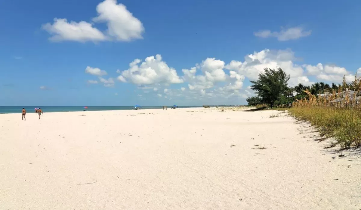 Beaches