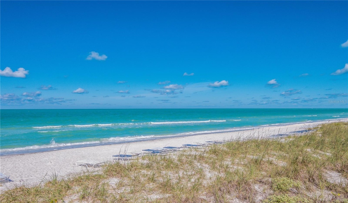 Beach view