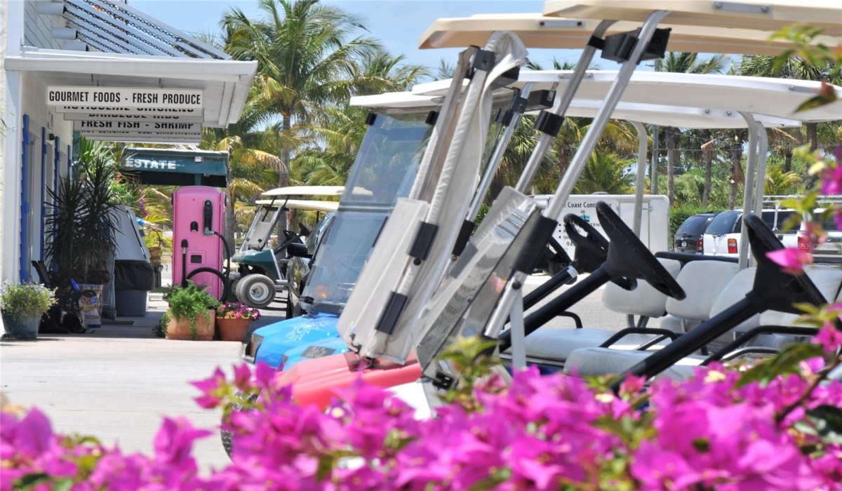 4511 SHORE LANE, BOCA GRANDE, Florida 33921, 8 Bedrooms Bedrooms, 0 ,6 BathroomsBathrooms,Residential,Sold,SHORE,0,D6134421