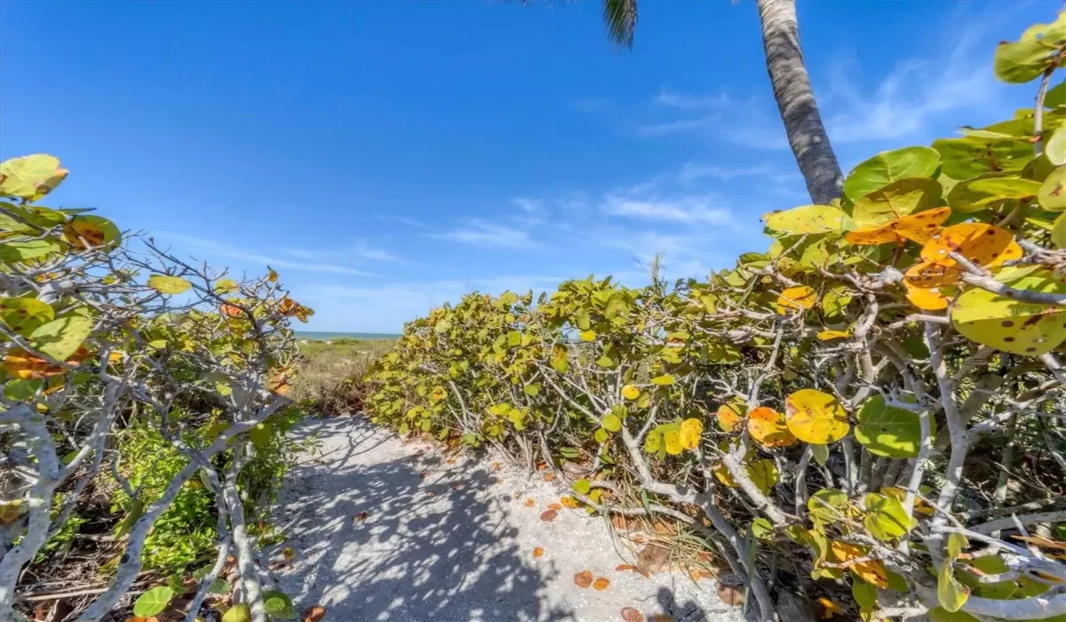 path to the beach