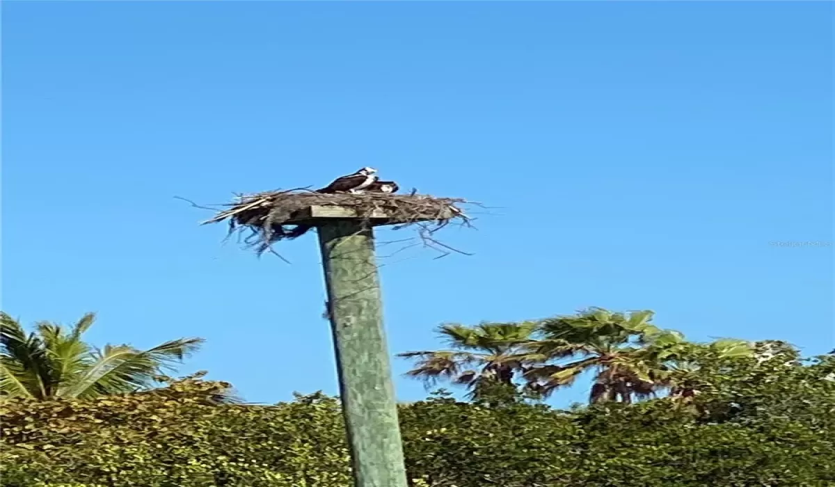 3 Bedrooms Bedrooms, 0 ,2 BathroomsBathrooms,Residential Lease,For Sale,0,A4642477