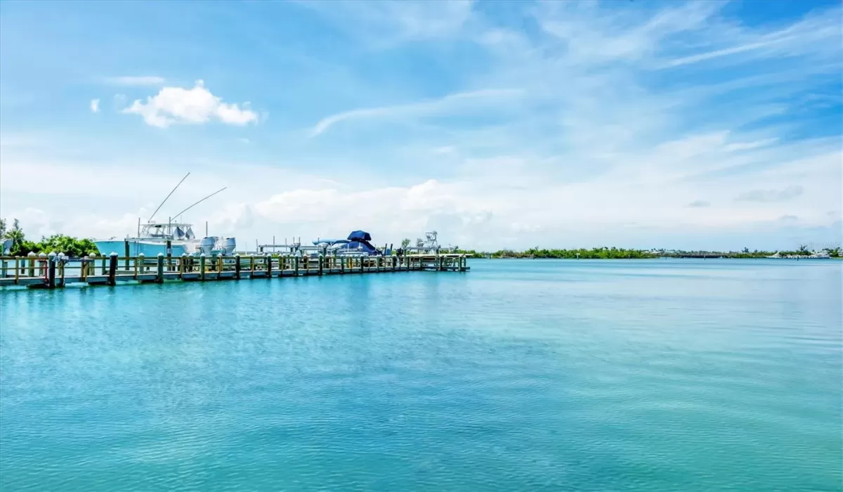 0 , 0 ,0,Residential,For Sale,0,D6143183