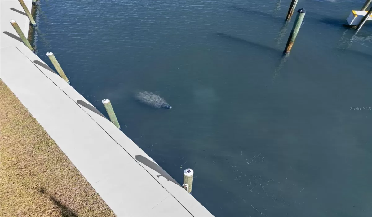 1 Bedroom Bedrooms, 0 ,1 BathroomBathrooms,Residential,For Sale,0,TB8452324