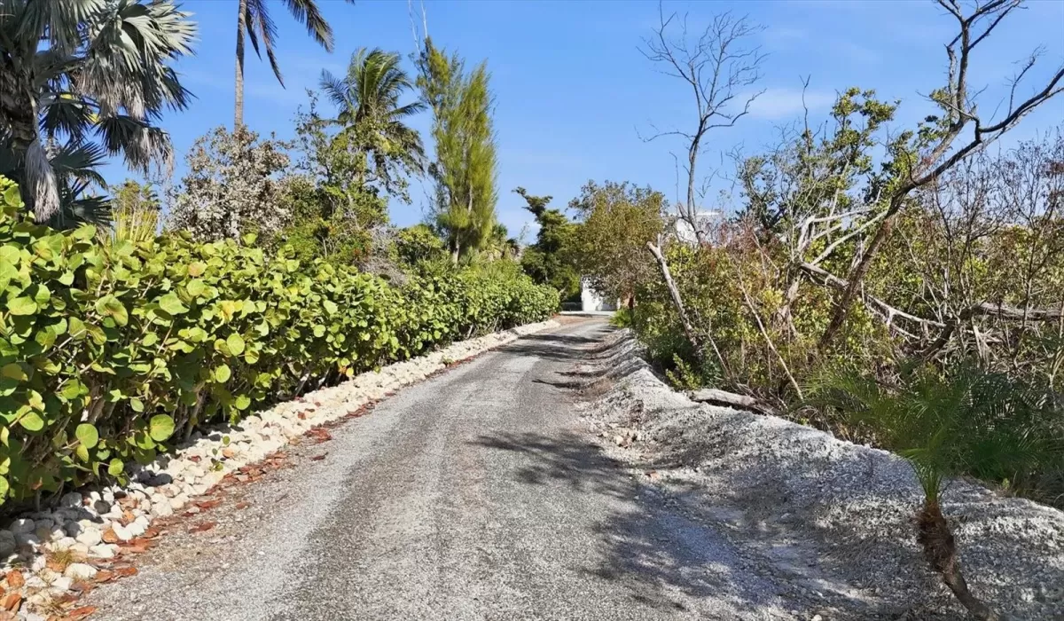 4 Bedrooms Bedrooms, 0 ,2 BathroomsBathrooms,Residential,For Sale,0,D6145351