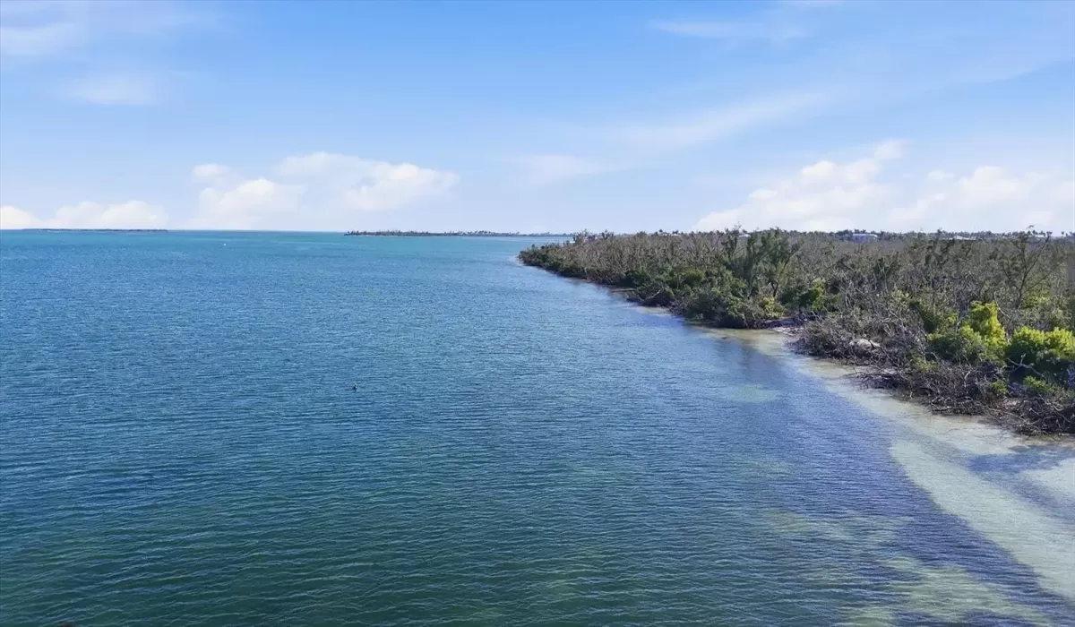 4 Bedrooms Bedrooms, 0 ,2 BathroomsBathrooms,Residential,For Sale,0,D6145351