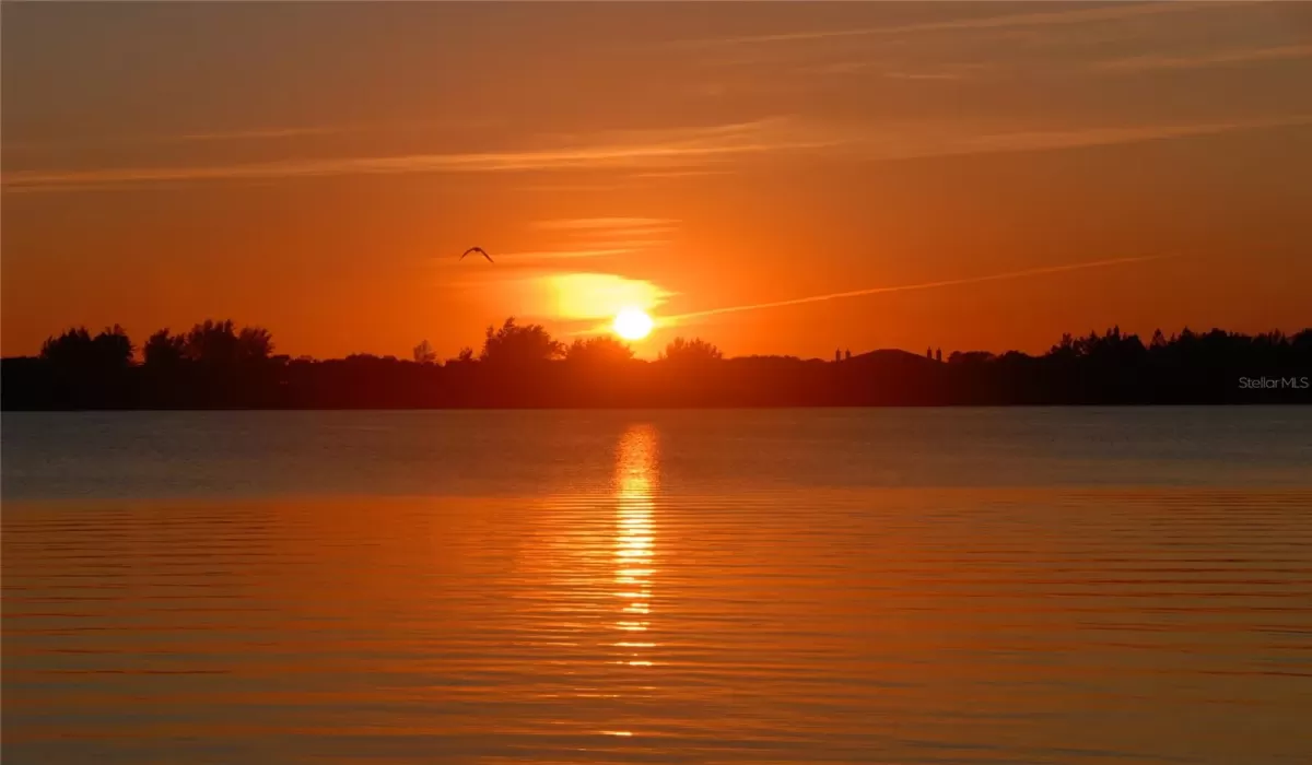 3 Bedrooms Bedrooms, 0 ,3 BathroomsBathrooms,Residential,For Sale,0,D6145898