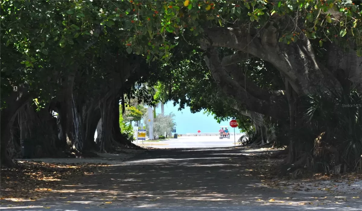 3 Bedrooms Bedrooms, 0 ,3 BathroomsBathrooms,Residential,For Sale,0,D6145898