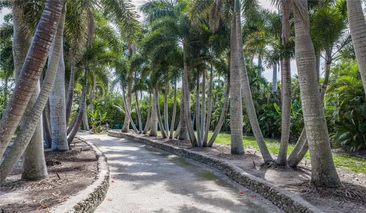 0 , 0 ,0,Land,For Sale,0,D6147090