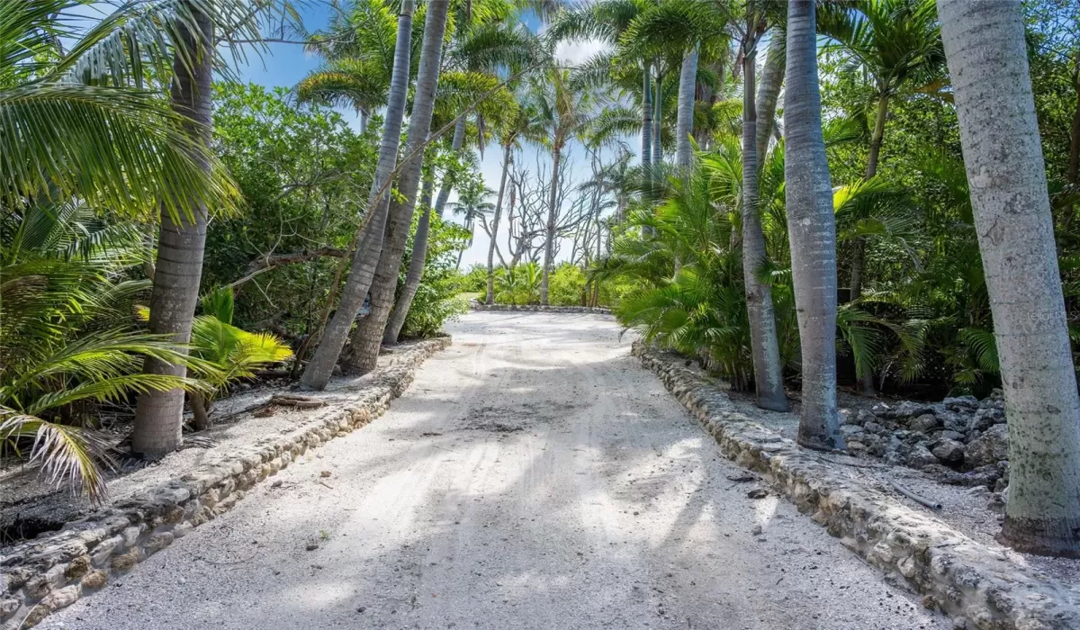 0 , 0 ,0,Land,For Sale,0,D6147090